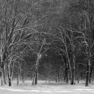 Yosemite Valley, Snow 1989